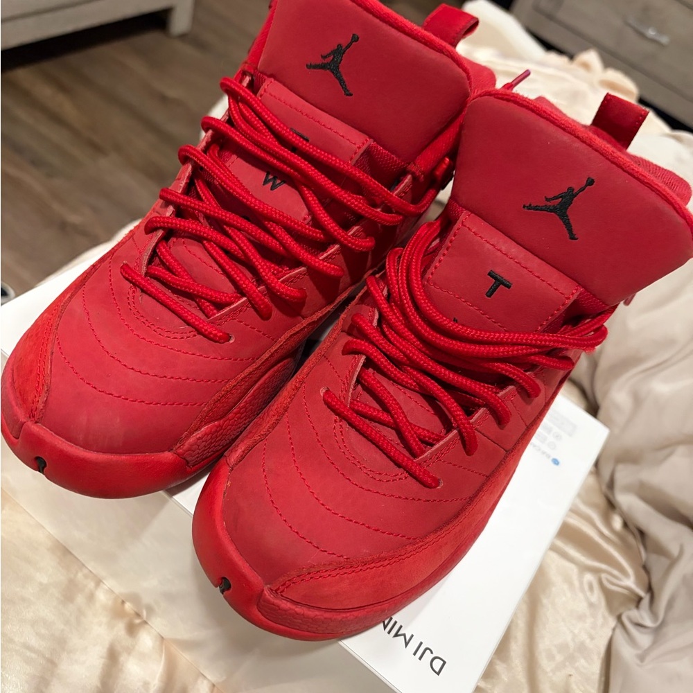 Jordan 12a